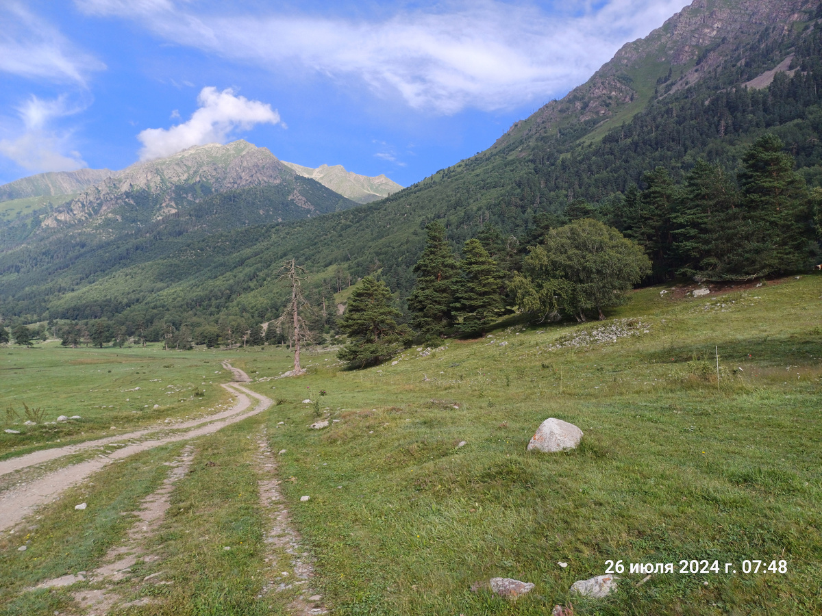Погода была ясная и солнечная.