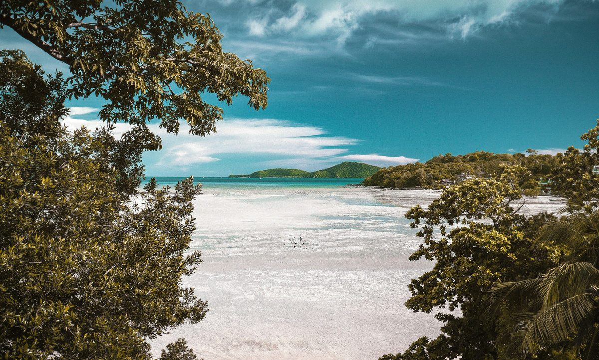 Photo by Vitaly Sacred on Unsplash
