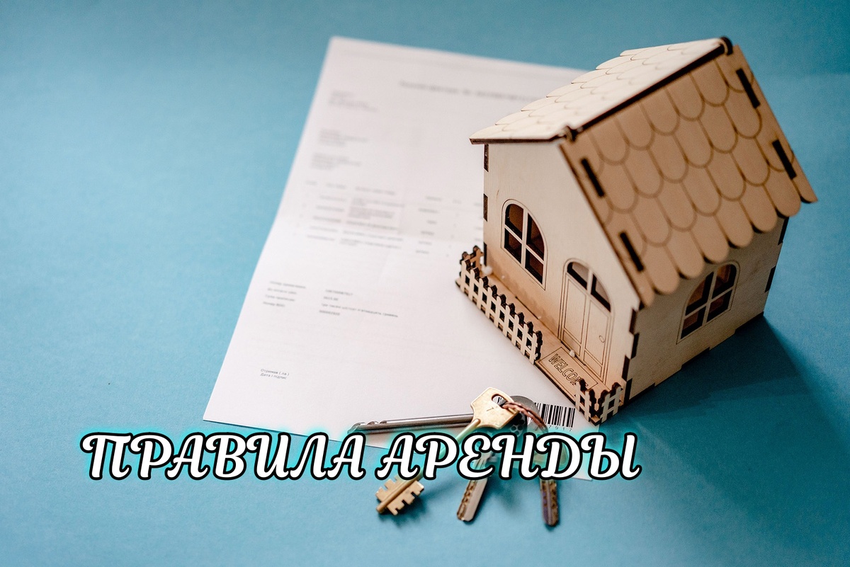 Можно ли самозанятому сдавать в аренду квартиру: что нужно знать арендаторам