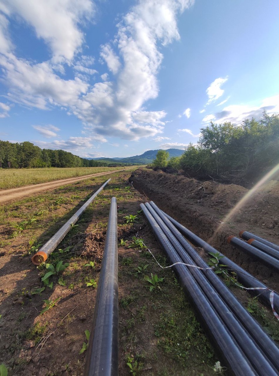 Кто напишет комментарий тот. Кто прочитал тот лох. Смс мемы. Кто напишет сообщение тот. Я хочу тебя мем.