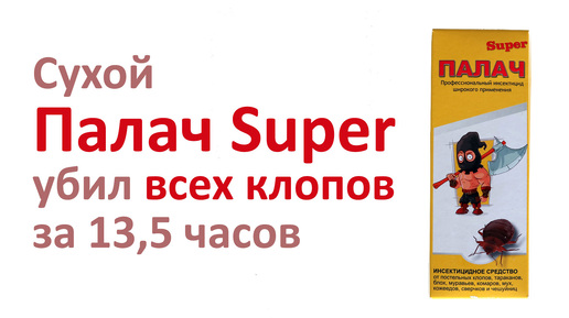 Проверяем, как средство Палач Super убивает клопов после высыхания на поверхности