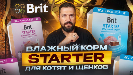 Brit Starter корм для самых маленьких | Корм для котят и для щенков | Прикорм для котенка или щенка