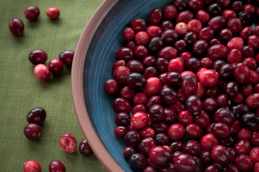 Фото: Pen Waggener / Wordpress.org / openverse