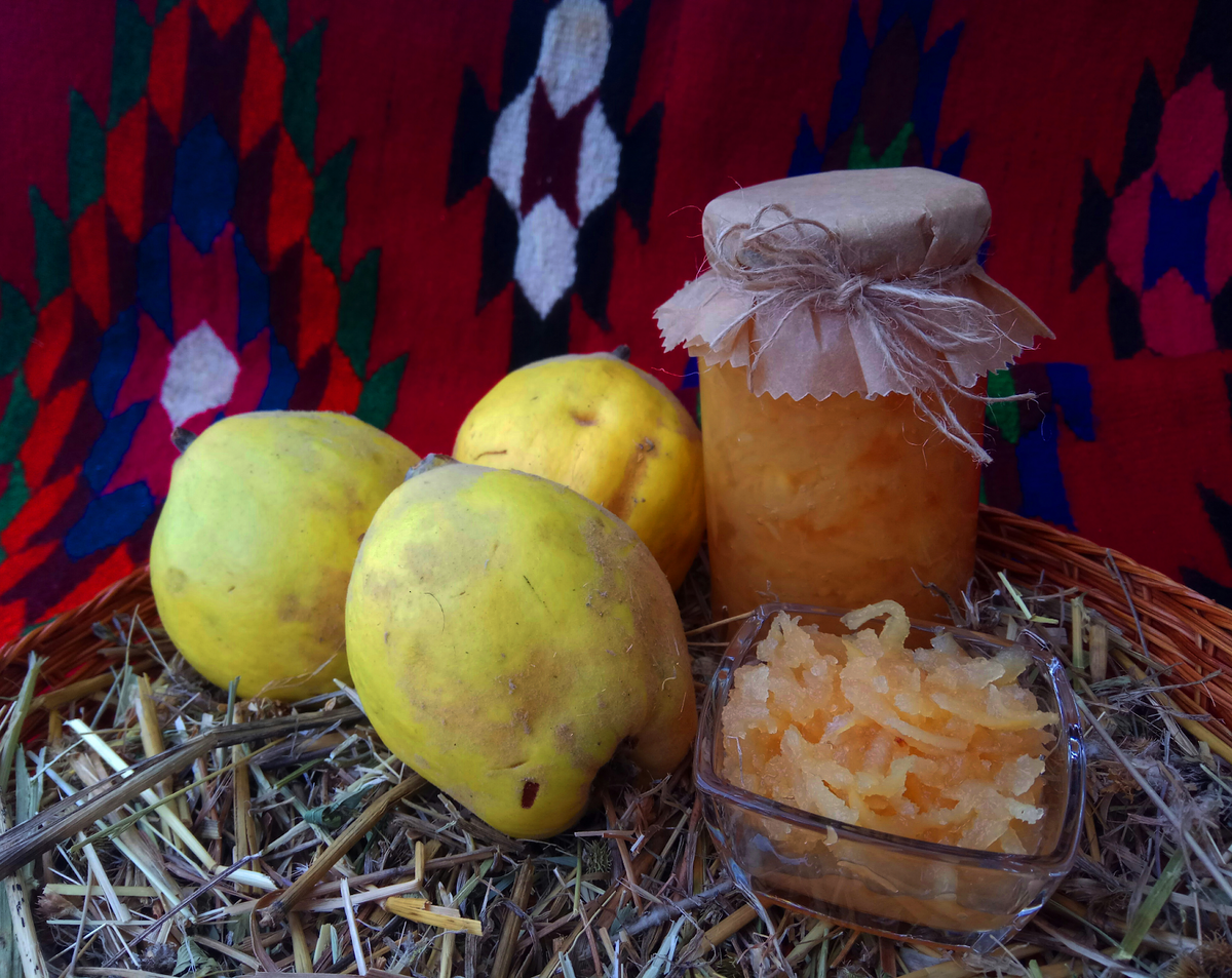 Фото: Pviktorija / Wordpress.org / openverse