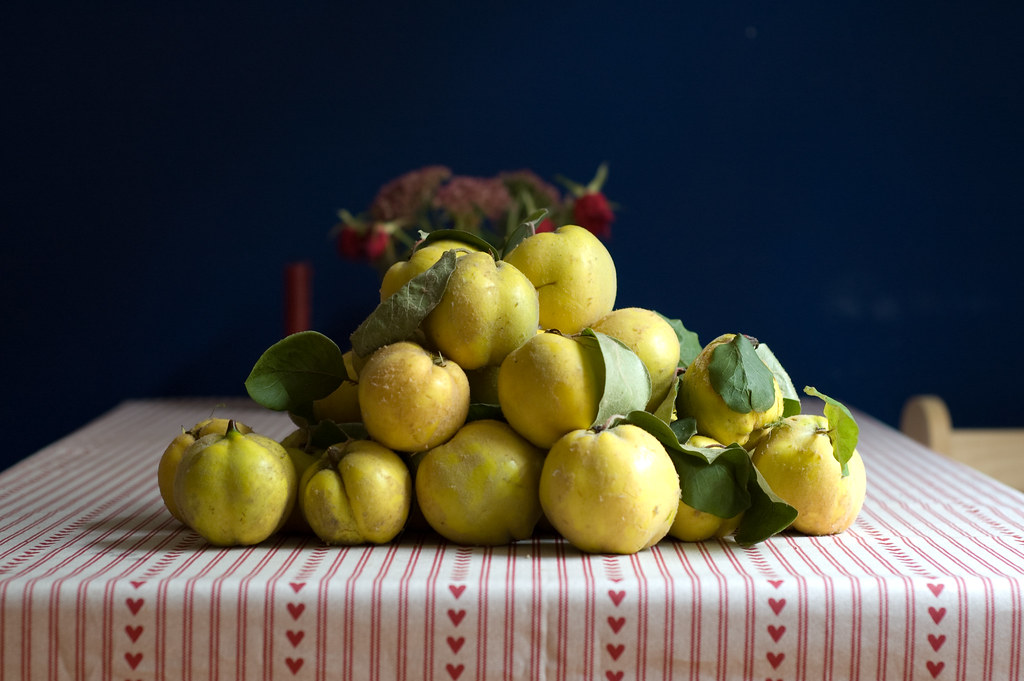 Фото: jvansanten / Wordpress.org / openverse