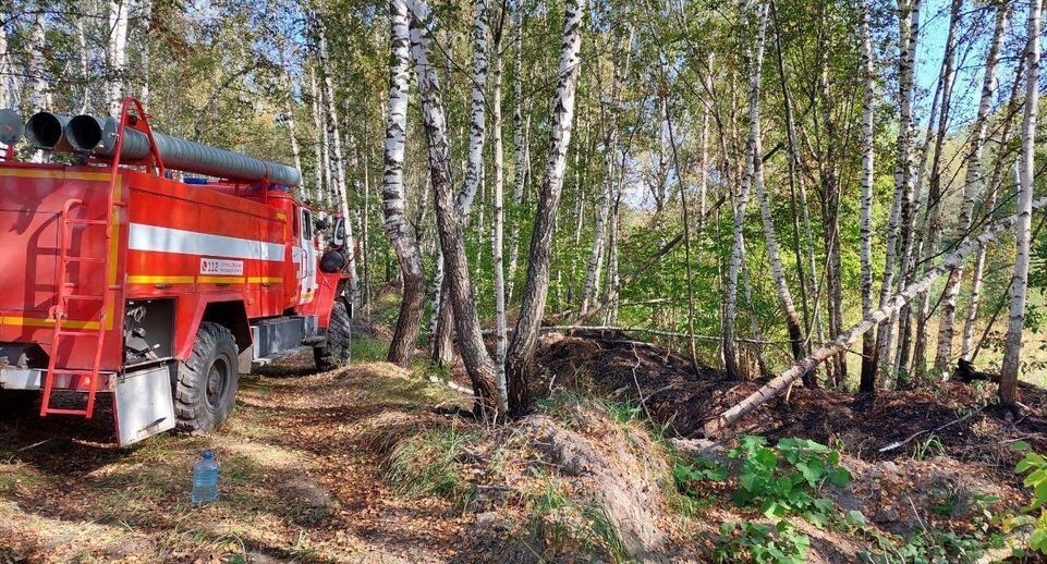    Комитет лесного хозяйства хозяйства Московской области