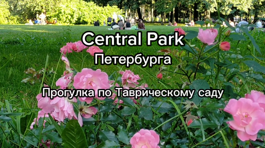 Скачать видео: Central Park Петербурга: прогулка по Таврическому саду