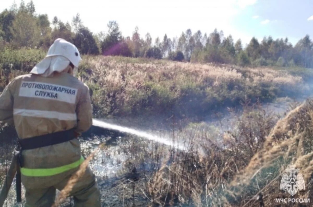    Под Переславлем горит сухая трава на участке в два гектара