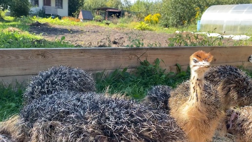 Радуемся солнечной погоде ☀️