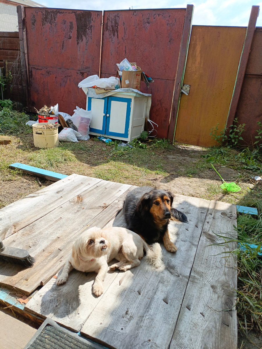 Что есть, то есть