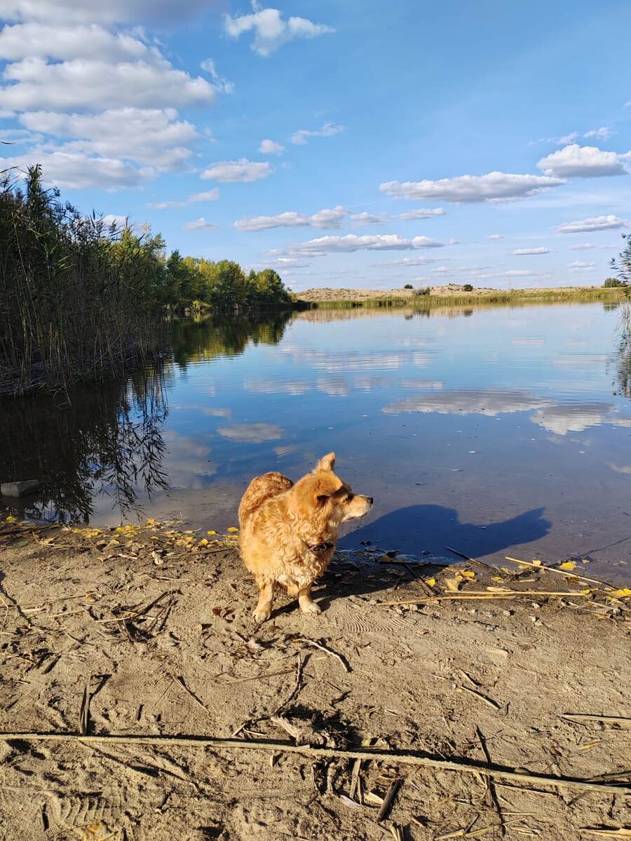 Жужа на Домбаровское водохранилище