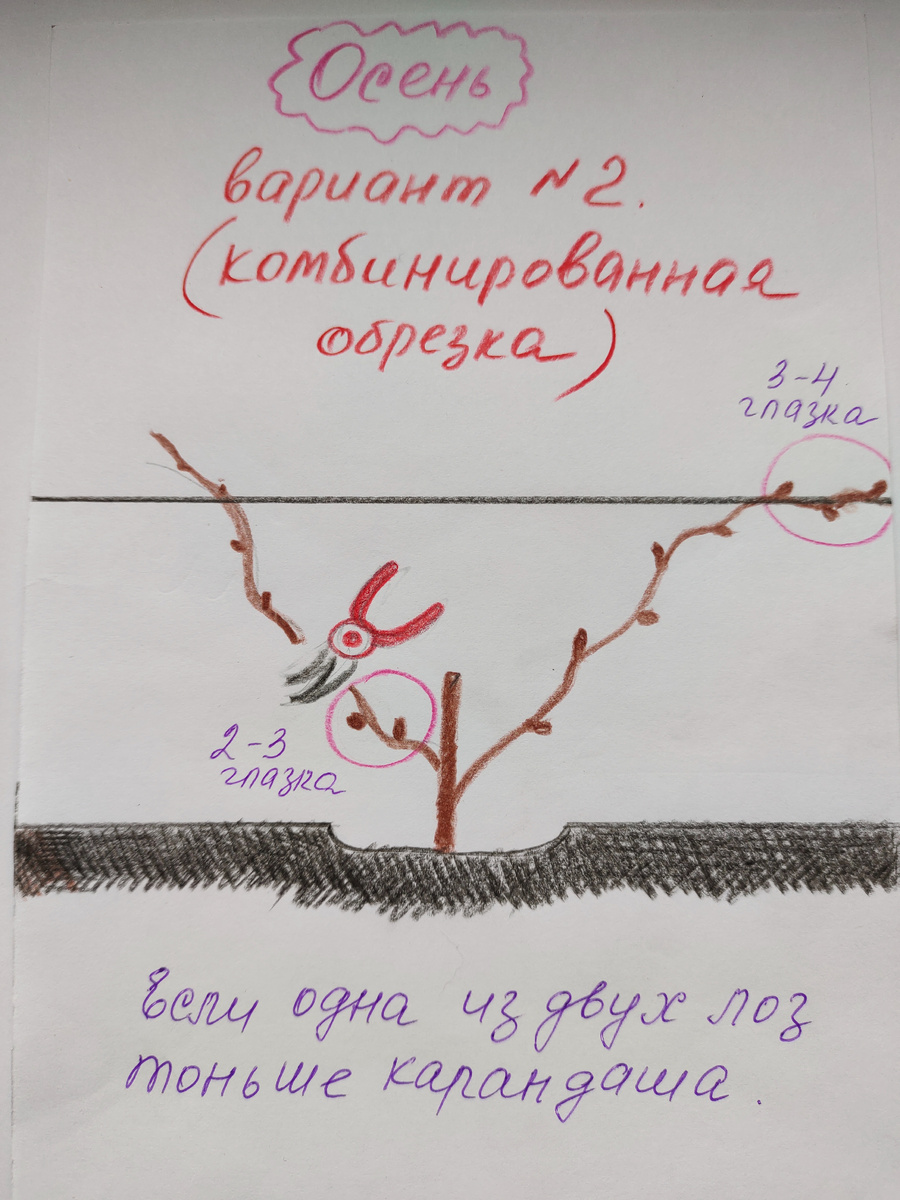 Рисунок к первой статье по обрезке 
