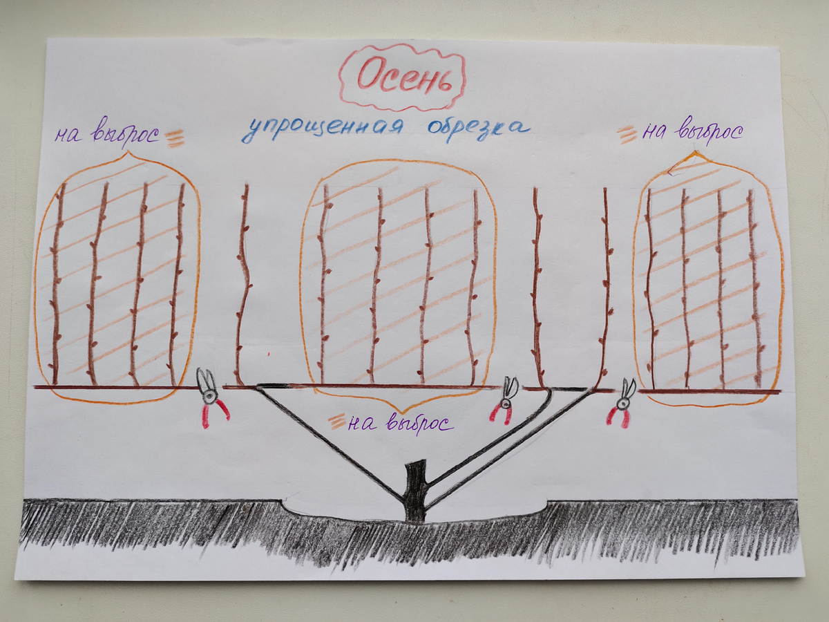 Рисунок к статье 