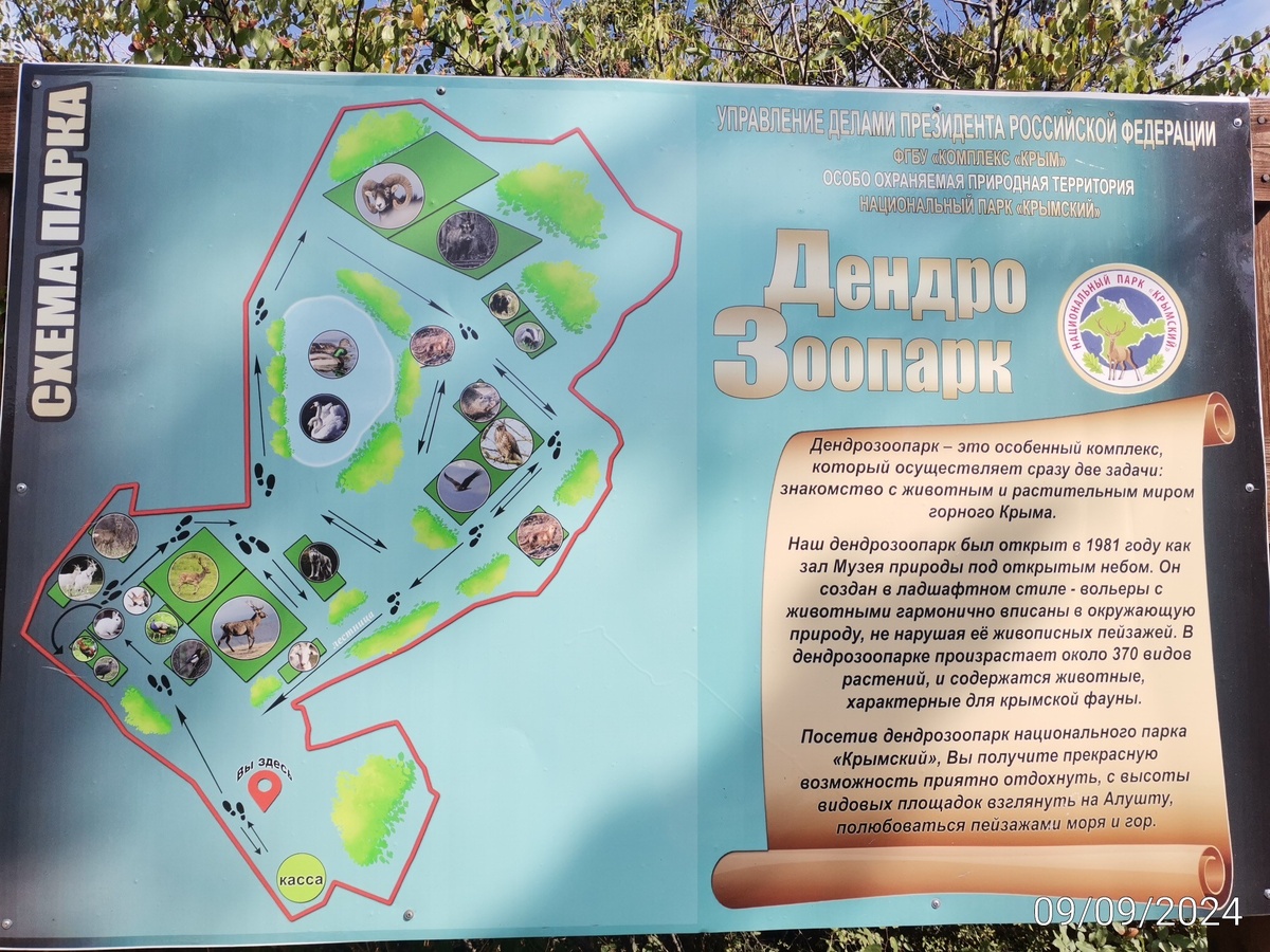 Карта зоопарка