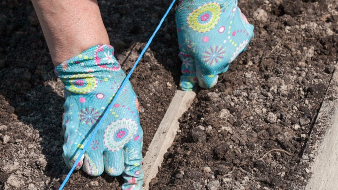 Вот так должна выглядеть грядка перед посевом