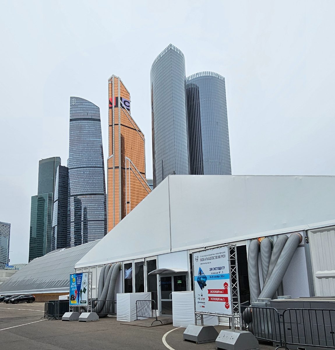 Фото автора Л. Баевой