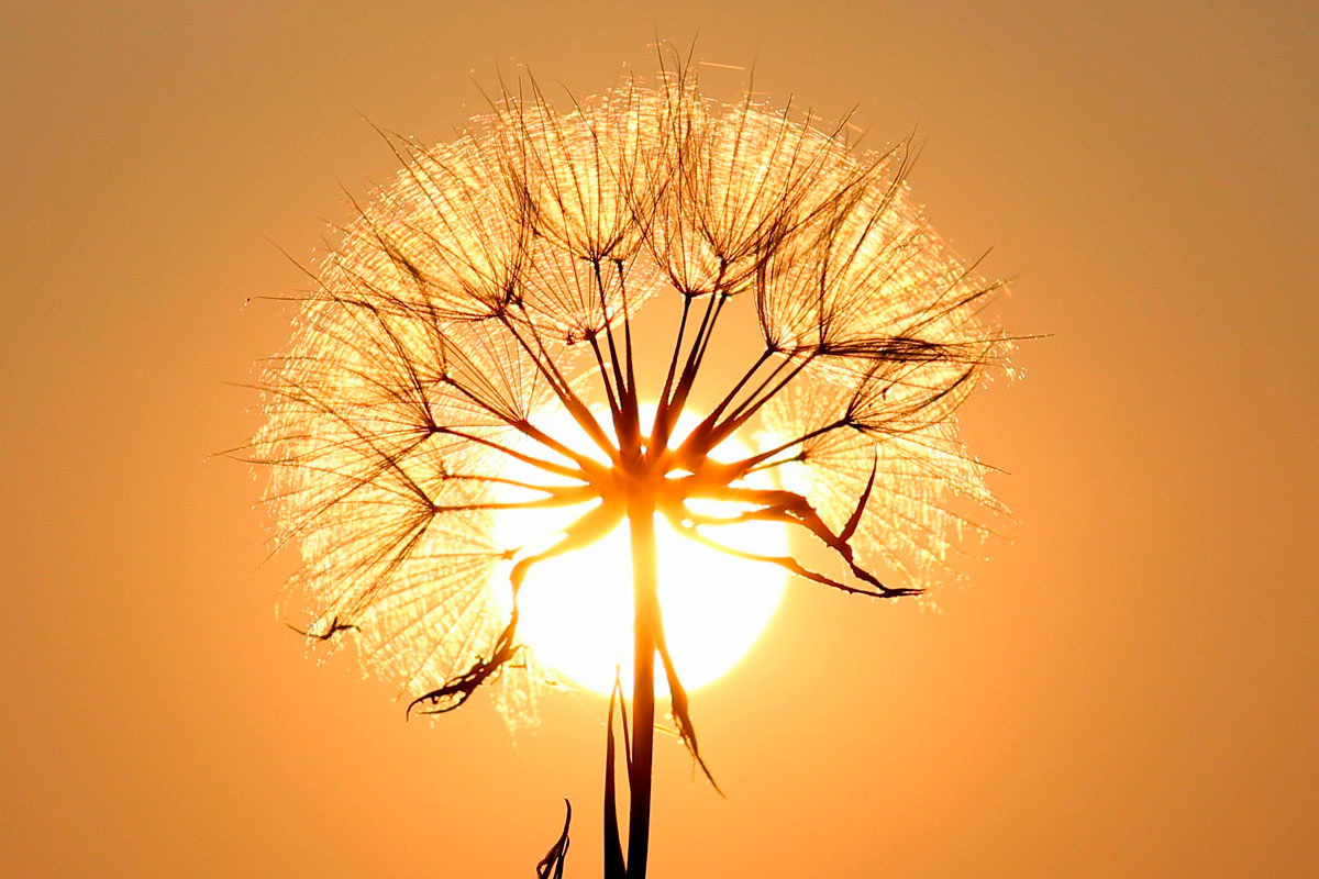    Фото: AdinaVoicu / Pixabay.com