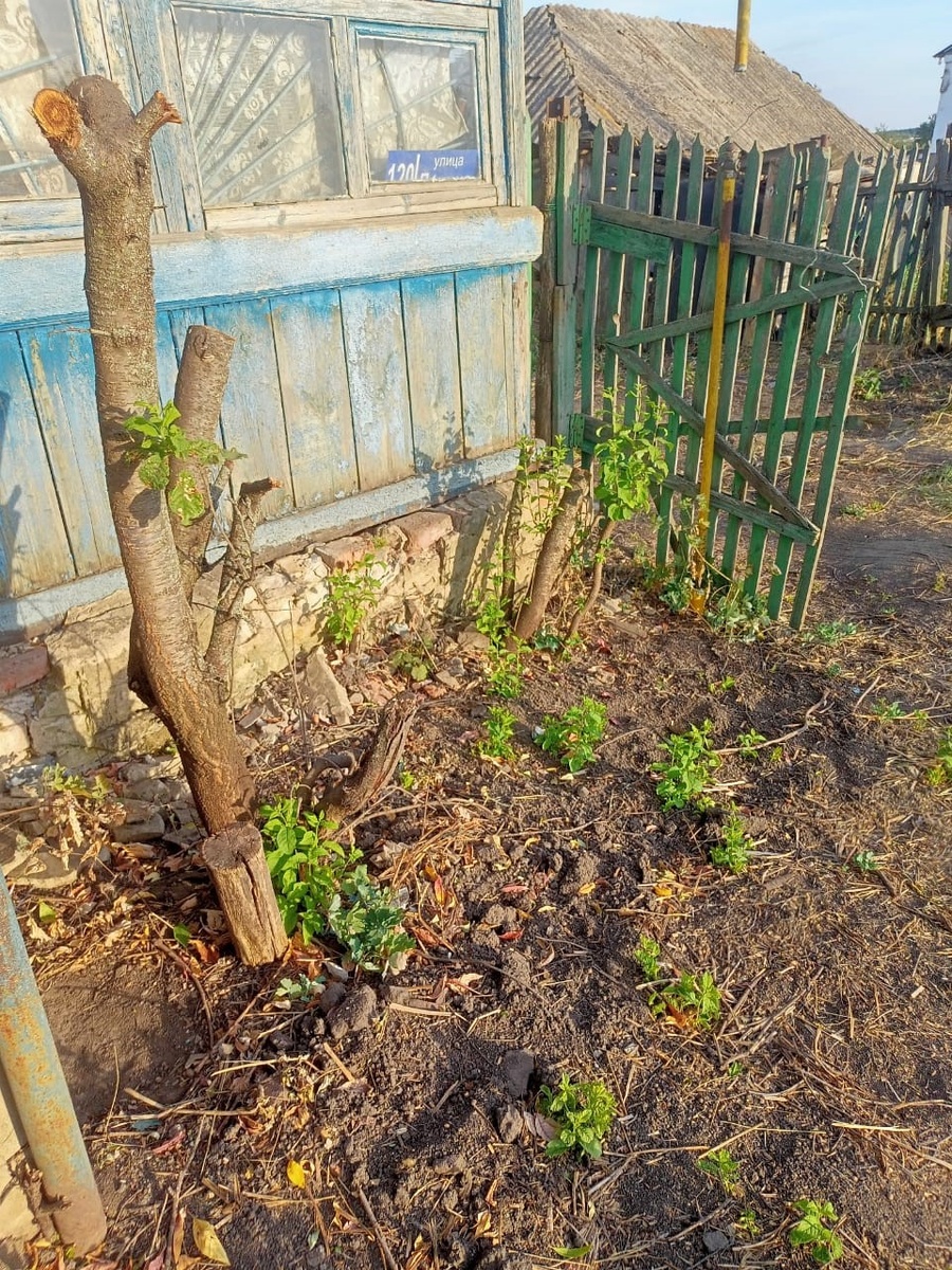 Фотография автора из личного архива