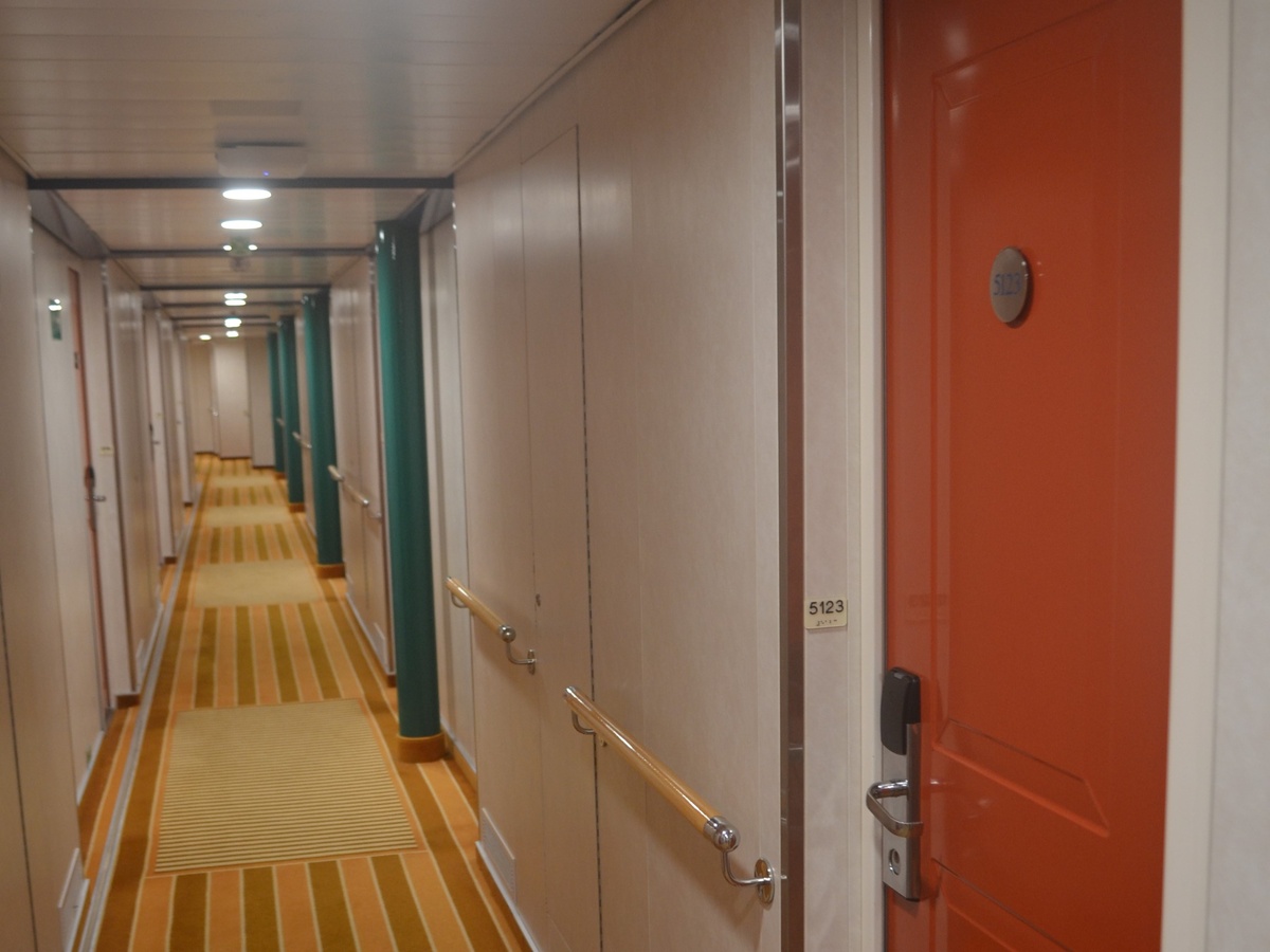 Освобожденный из-под ареста багаж пришлось тащить до каюты самостоятельно