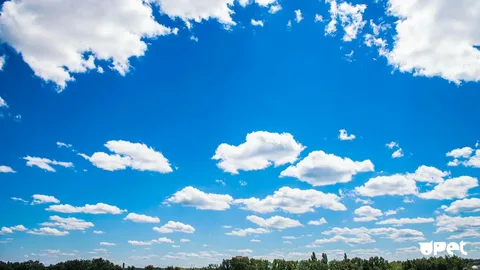 22 июля 2020 г.