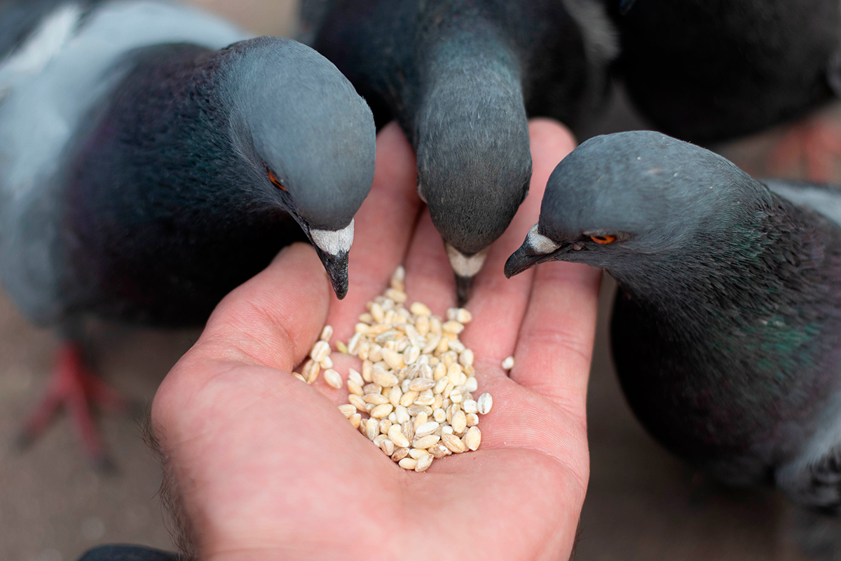    Фото: 06shep15 / Shutterstock.com