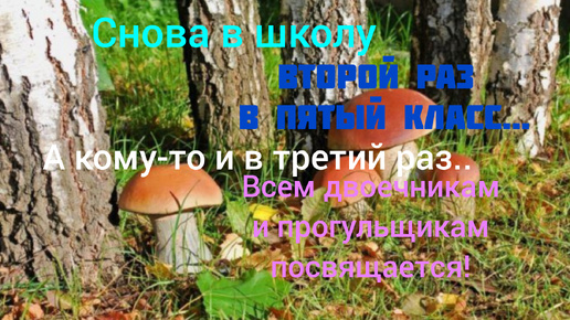 ЦАРСТВО ГРИБОВ. УРОК БИОЛОГИИ 5-Й КЛАСС. СНОВА В ШКОЛУ. ВСЕМ ДВОЕЧНИКАМ И ПРОГУЛЬЩИКАМ ПОСВЯЩАЕТСЯ