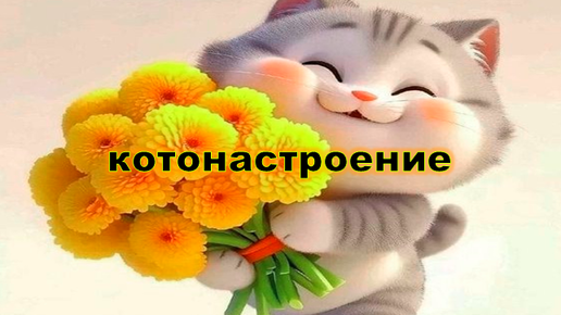 Котонастроение. Шалости наших четвероногих питомцев.