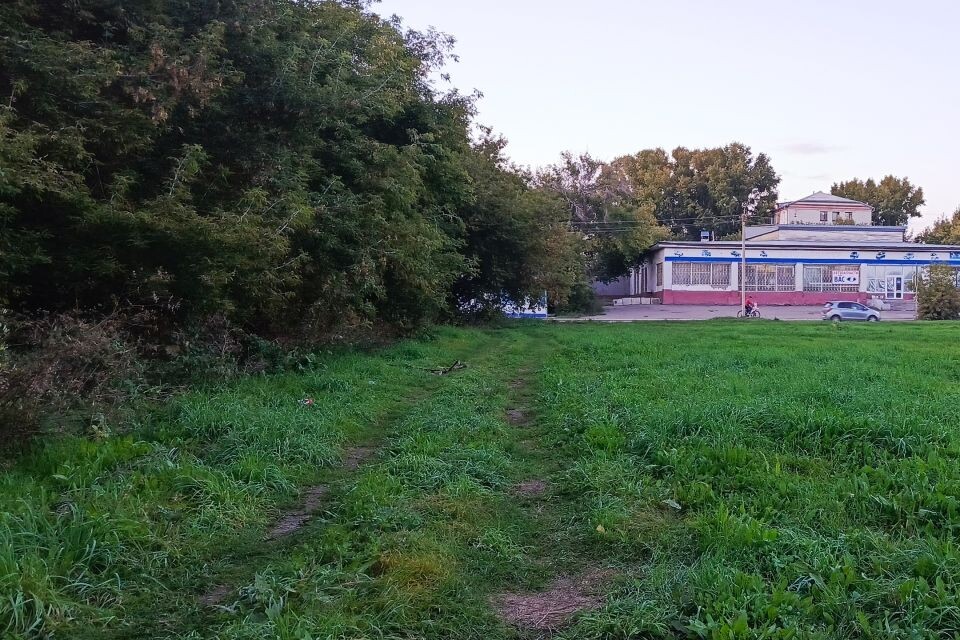    "Поле Чудес" на улице Эмилии Алексеевой, на границе которого появится новая дорога. Источник: Илья Кочетков