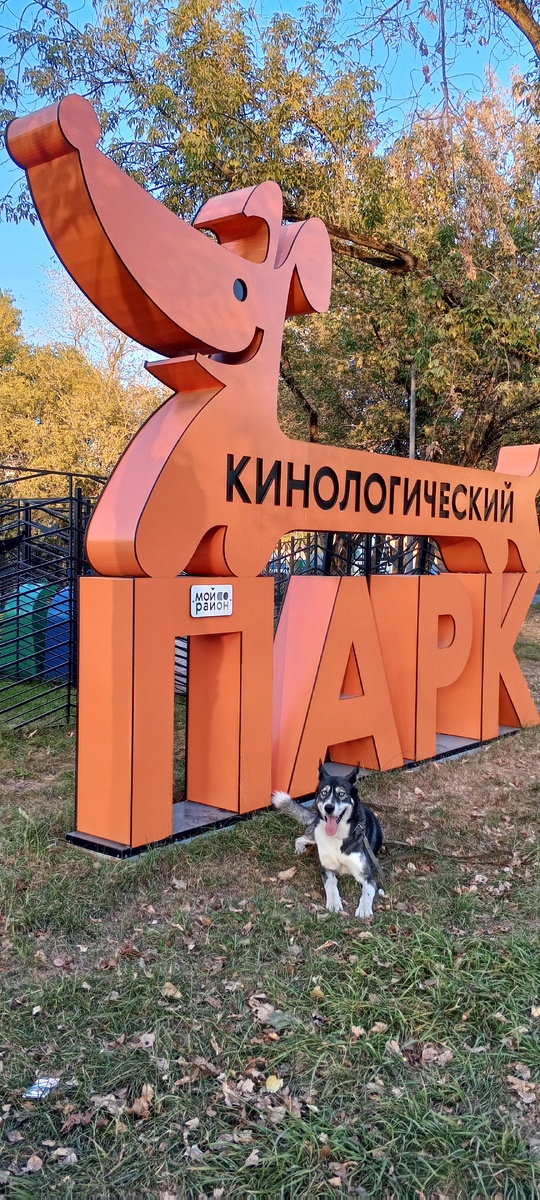 Пёс у входа в парк