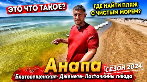 #Анапа МОРЕ ЗАЦВЕЛО! ГДЕ НАЙТИ ЧИСТЫЕ ПЛЯЖИ? БЛАГОВЕЩЕНСКАЯ- КЕМПИНГ ЖАРА. МОРЕ ЗАКРЫВАЮТ ЗАБОРАМИ!