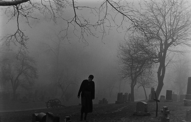 Изображение взято из открытых источников интернета. 