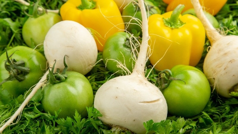 Фото: @KamranAydinov / ru.freepik.com