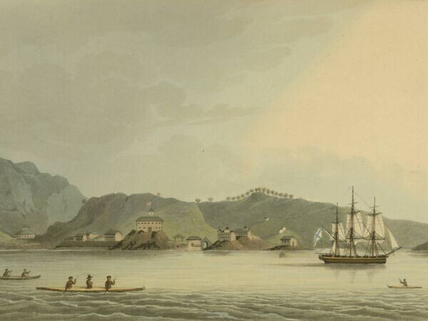    © CC0 / Public Domain PD-US