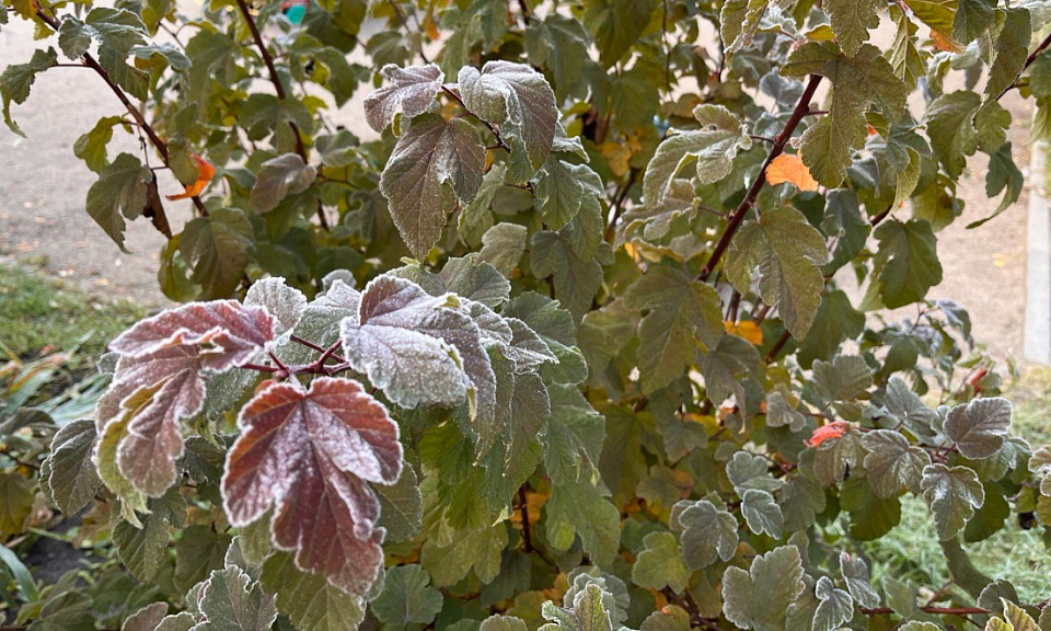 Фото: Виктория Рыжих, "Горсайт"