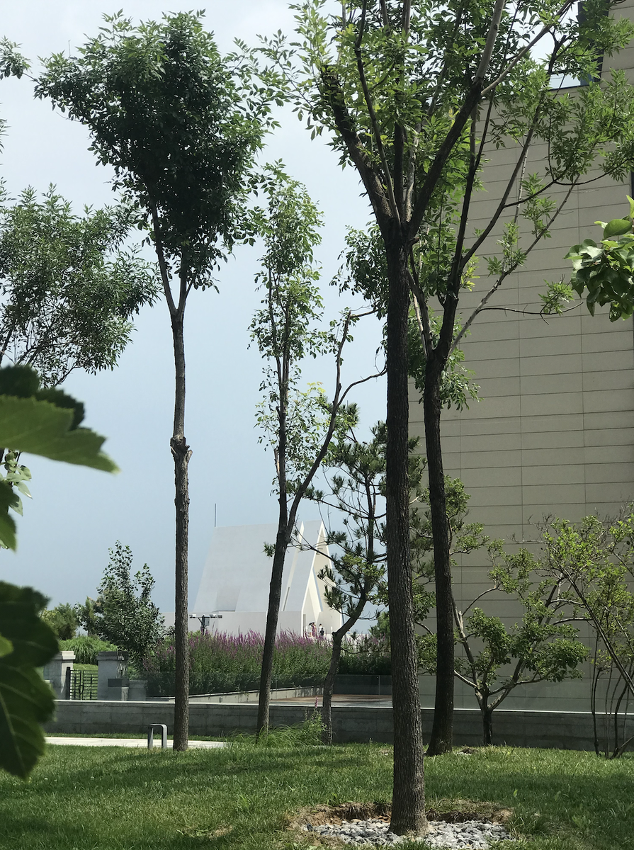 Вид на ту же библиотеку, но с ракурса искусственно взращенных садов