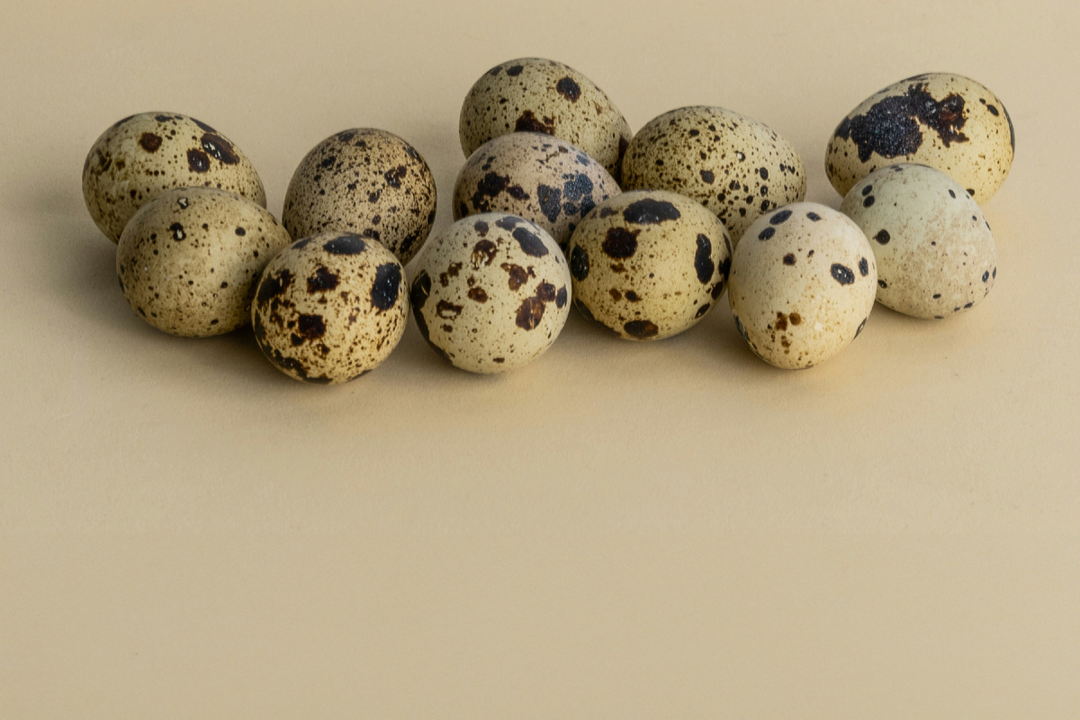 https://unsplash.com/s/photos/quail-eggs