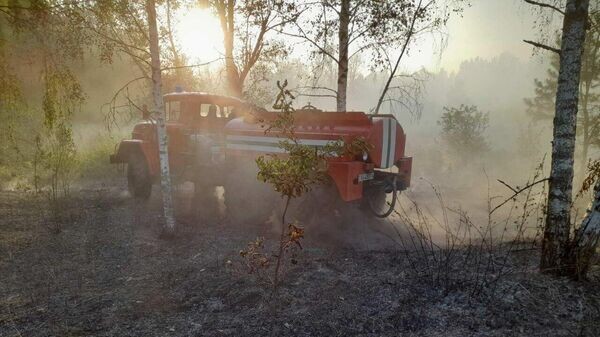    © Photo : Telegram / Минлесхоз