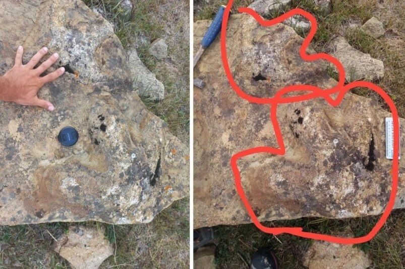    Фото: Пресс-служба ИНГГ СО РАН