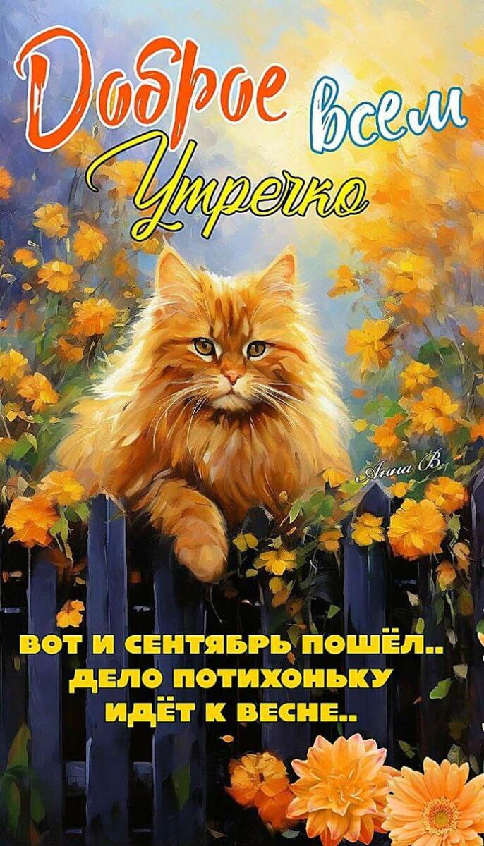 Мне прислали, ' вами делюсь. 
