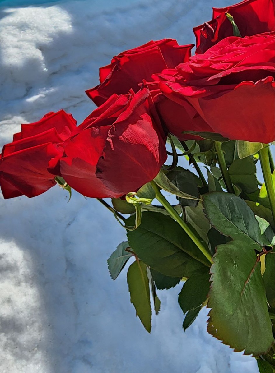 Фото из личного архива / съемка Samsung Galaxy 22 Ultra