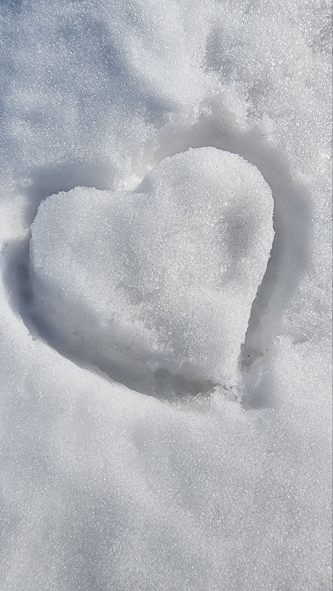 Фото из личного архива / съемка Samsung Galaxy 22 Ultra