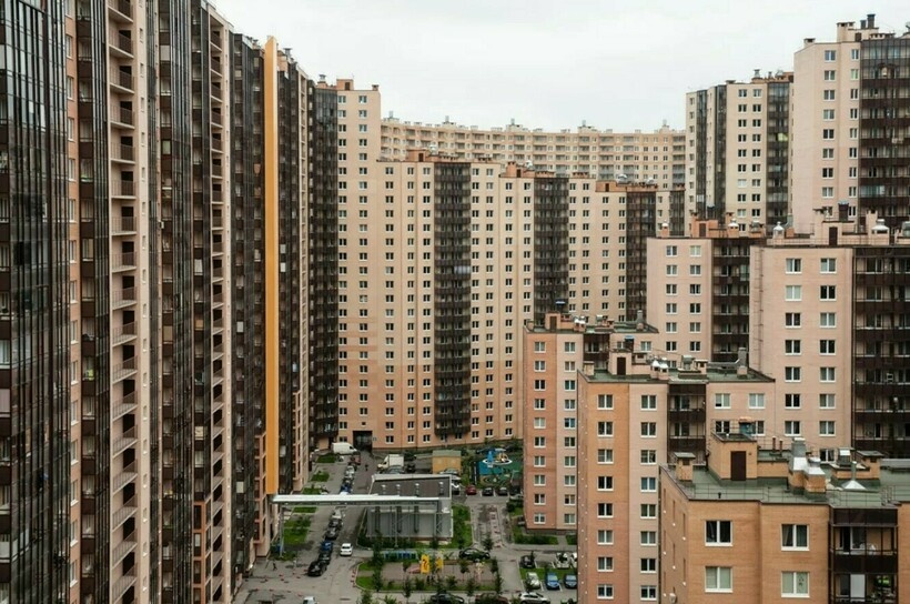    Фото: reddit.com