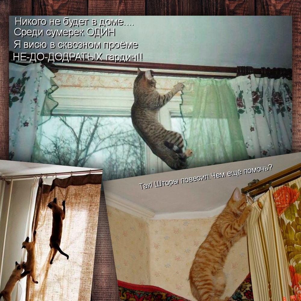 Фото с просторов интернета