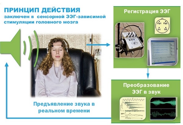 Принцип биологической обратной связи.