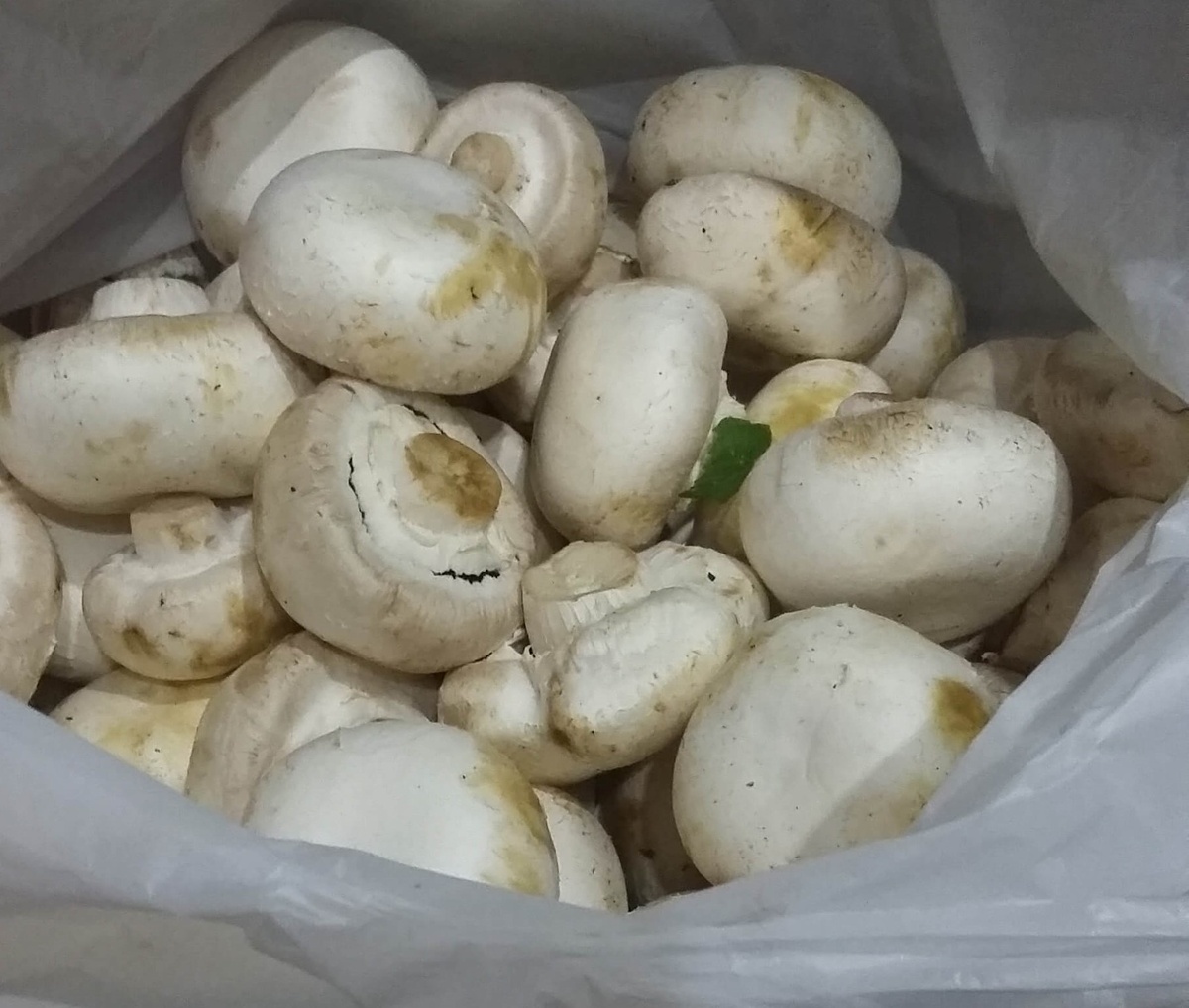 Вот такой презент