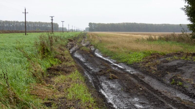     Распутица в полях Анна Зайкова