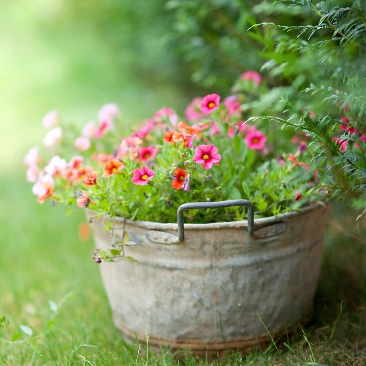 Все иллюстрации взяты из яндекс.картинок