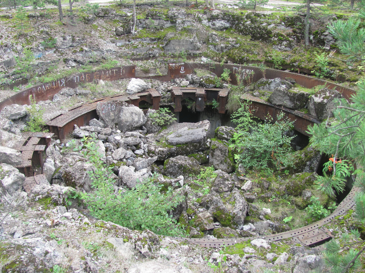 2011 год