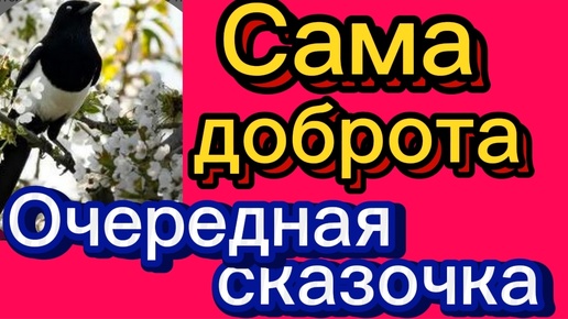 Столько дел😊. Сказочки😊