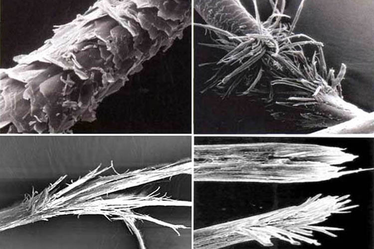 Секущиеся и поврежденные волосы под микроскопом